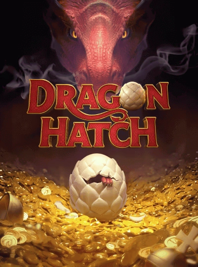 Live cricket match betting cover